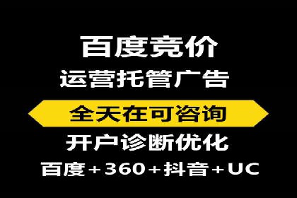 SEM外包策略在电商平台的成功案例